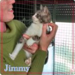 Jimmy